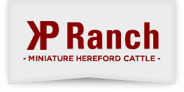 KP Ranch logo